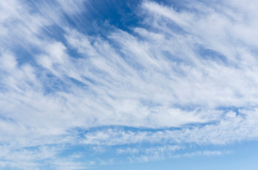Wave of softy and white fluffy clouds under deep blue sky