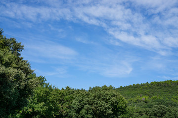 Fototapeta na wymiar Small wave of beautiful white fluffy clouds on vivid blue sky in a summer time above the mountain and green trees in Vacqueyras village of wine, southeastern France