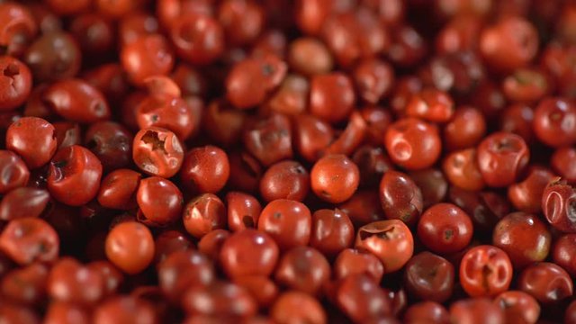 Food spices pink peppercorns red pepper Himalayan pepper berries. concept of fresh and dietary spices for cooking schools vegans and dietary products.