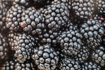 Background from fresh Blackberries, close up. Lot of ripe juicy wild fruit raw berries lying on the table. 