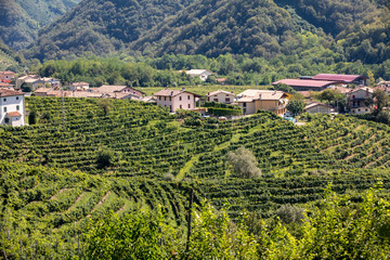 Fototapeta na wymiar Picturesque hills with vineyards of the Prosecco sparkling wine region between Valdobbiadene and Conegliano; Italy.