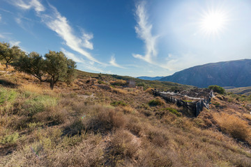 trees in the Beninar area (Spain)