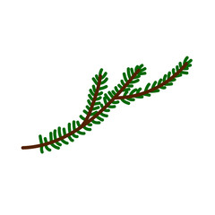 Christmas tree branch isolated on a white background. Cute decorative green twig in Scandinavian style. Festive decoration element for Christmas and New Year. Minimalistic symbol of the winter holiday