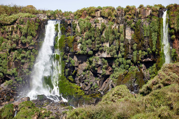 waterfall cascade fall wet iguazu