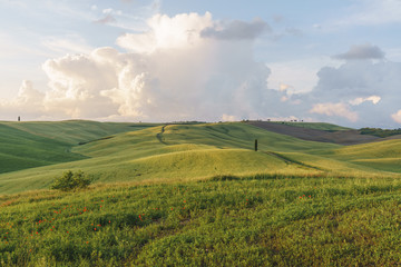 Beautiful countryside landscapes in Tuscany with rolling hills during the sunset