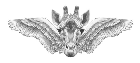 Portrait of Giraffe with wings. Hand drawn illustration.  © Victoria Novak