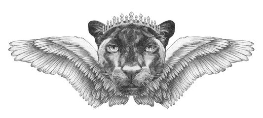 Portrait of Panther with wings. Hand drawn illustration. 