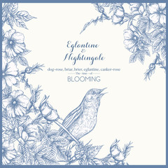 Dog-rose, briar, brier, eglantine, canker-rose and nightingale. Template for wedding invitation, greeting card, gift voucher. Graphic drawing, engraving style. Vector illustration in blue and white.