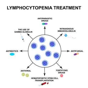 Lymphocytopenia treatment. Decreased lymphocytes in the blood. Infographics. Vector illustration on isolated background.