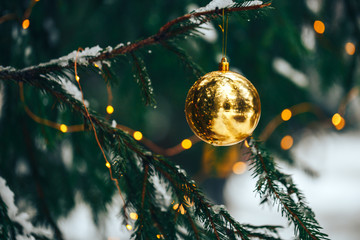 Golden christmas ball hanging on branch on sruce tree outdoor, snow, winter, with decorations.