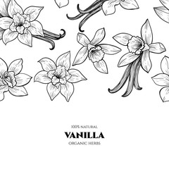 Vector frame with vanilla flowers and pods. Hand drawn. Vintage style