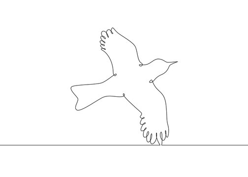 Black outline of flying bird, illustration isolated on the white background  Stock Vector Image & Art - Alamy