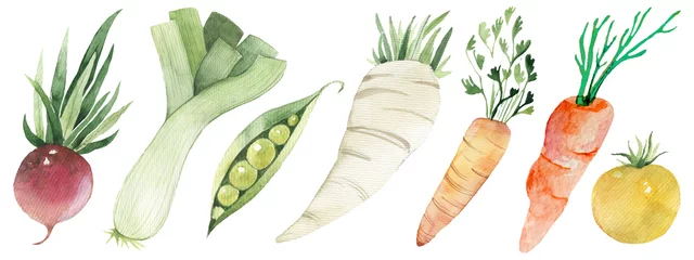 Deurstickers Watercolor painted collection of vegetables. Hand drawn fresh food design elements isolated on white background. © Tatyana