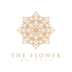 Simple vector of a mandala using a flower theme