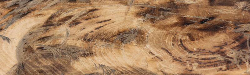Rough weathered tree bark. Abstract wooden background.