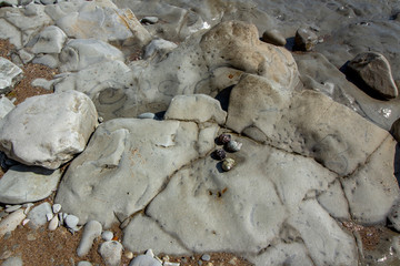 A series of photographs - ancient stone formations. Someone has added some shells to the ancient rocks with fossil prints. Byala resort , Bulgaria.