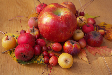 Autumn background on selective focus. Ornamental red and yellow apples with autumnal leaves. 