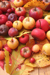 Naklejka na ściany i meble Autumn background on selective focus. Ornamental small red and yellow apples on wooden table