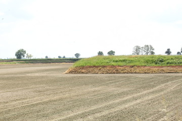 Fototapeta na wymiar plowed field ready for the seeding with copy space for your text