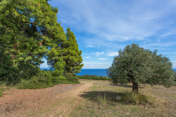 Fototapety na wymiar - Fototapeta24.pl