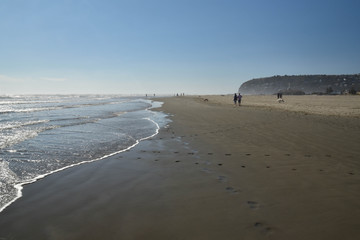 long beach in new zealand