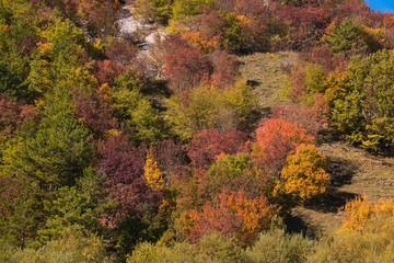 Fantastic colors of the mount terminillo forest in autumn