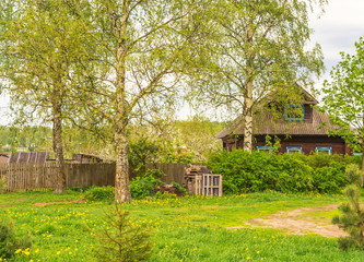 Spring rural landscape with wooden house, garden and lawn.