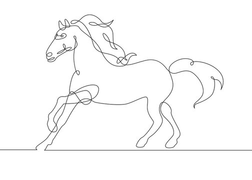 continuous line drawing horse