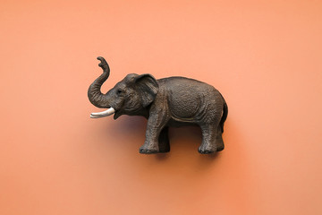 Toy elephant on orange background 