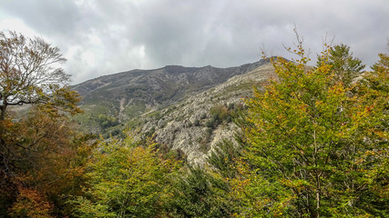 Corsica is a beautiful french island in Mediterranean sea