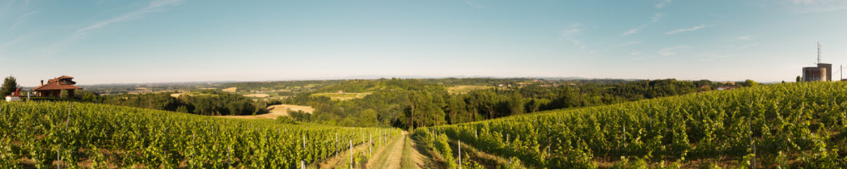 Obraz premium Braida di Bologna Giacomo winery, Piedmont, Italy