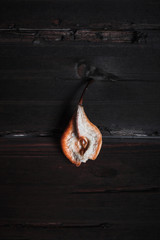 Dried Pear Abstract blank for poster, signboard, leaflet with a central composition. Low key, place for text