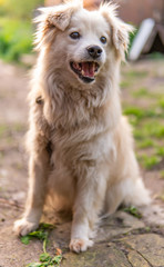 adorable portrait of amazing healthy and happy adult