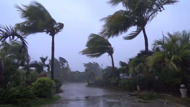 Violent Hurricane Eyewall Winds Lash Town - Noul