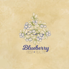 Blueberry. Element for design. Good for product label. Graphic drawing, engraving style. Colored vector illustration. On kraft background..