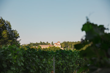 Fototapeta na wymiar La Scolca winery, Piedmont, Italy