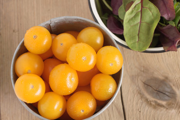 Sweet yellow tomatoes variety Sun Baby