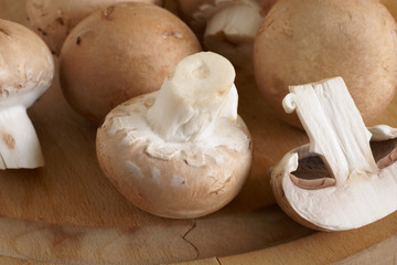Chestnut Mushrooms also known as Black Poplar mushrooms or Velvet pioppino