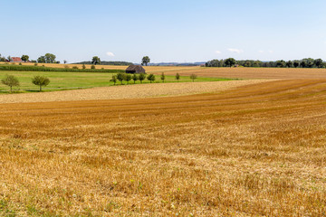 Fototapeta na wymiar rural landscape