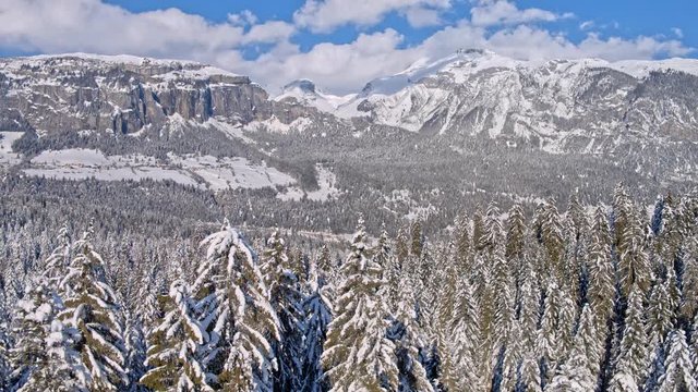 Aerial shot of a forest covered in snow in the Swiss mountains during the winter. Recorded in 5.2k raw with the DJI Inspire 2 and downscaled to 4k in post-production. 