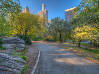 Central Park in spring