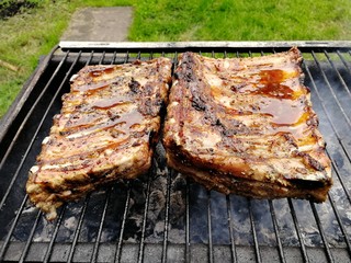 Pork ribs on coals