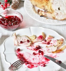 dirty dishes in the Christmas after eating turkey with cranberry sauce. leftover food after the holiday.dirty dishes after christmas. holiday leftovers