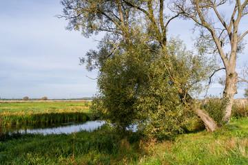 Narwiański Park Narodowy, Rzeka Narew, Łodzie pychówki, Uhowo, Podlasie, Polska © podlaski49