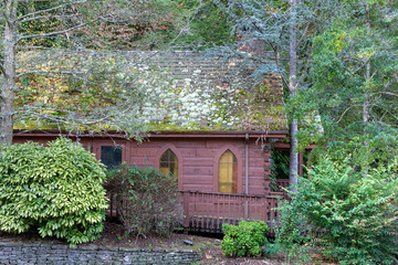 Fototapeta na wymiar One brown wooden house with moss on the roof in a dense green forest