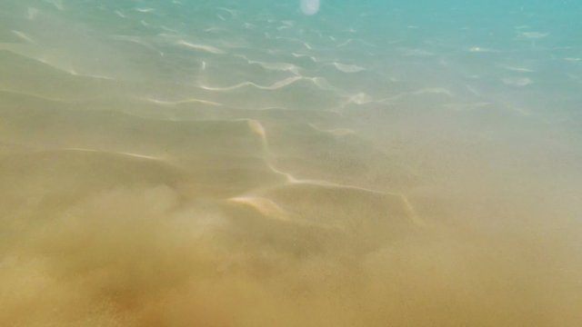 sand muddle turbulence in water on sea bottom, underwater background