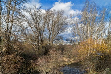 Guadarrama River as it passes through the recreational area of Retamar, Las Rozas de Madrid, Spain. Autumn landscape with cloudy skies and vegetation surrounding the river,