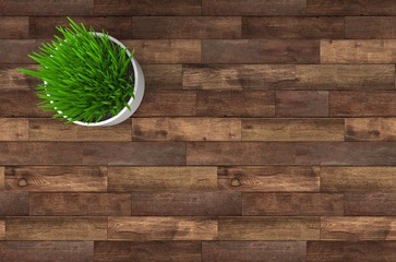 Pot Plant Top View on Wood 3D Rendering