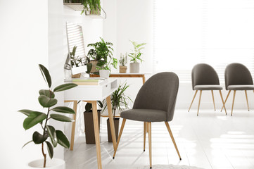 Modern workplace in room decorated with green potted plants. Home design