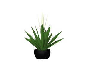 Plant isolated on White 3D Rendering